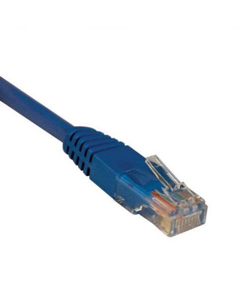 Tripplite 100-ft. Cat5e 350MHz Molded Cable (RJ45 M/M) - Blue