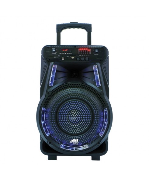 Naxa Portable 12″ Bluetooth® Party Speaker with Disco Light