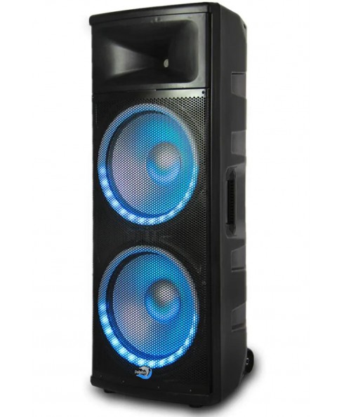 Dolphin Audio Dual 15-inch High Performance Elite Series Speaker