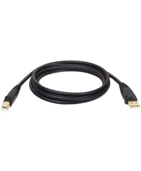 USB 2.0 Gold Cable- 10 ft.