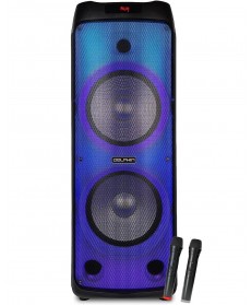 Dolphin Audio Dual 12-inch Portable Speaker with Fire Light  & Two Wireless Mic.