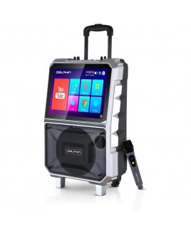 Dolphin Audio Dolphin Portable, Rechargeable 8-inch Karaoke Machine with 14-inch Tablet & Voice Modulation (KB-85R)