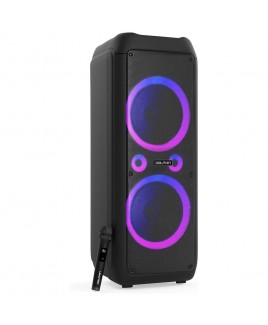 Dolphin Audio  Dolphin Dual 12-Inch Premium Party Bluetooth Speaker with Bluetooth/USB/SD/FM/AUX, X-Bass (SP-1270RBT)