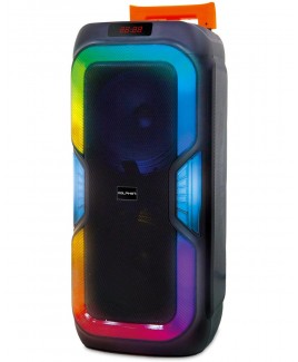 Dolphin Audio Dual 10-inch Party Speaker with Light Show