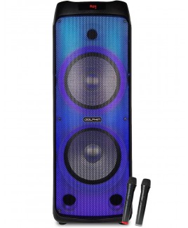Dolphin Audio Dual 12-inch Portable Speaker with Fire Light  & Two Wireless Mic.