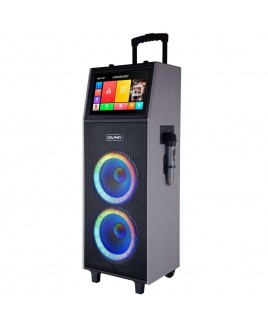 Dolphin Audio Dolphin Portable, Rechargeable Dual 10-inch Speakers Karaoke Machine with 2 Wireless Mics with 14-inch Touchscreen Tablet